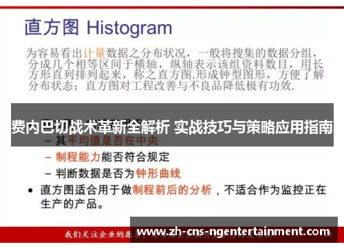 费内巴切战术革新全解析 实战技巧与策略应用指南
